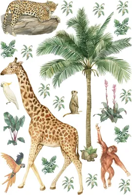 Produktbild von Sanders & Sanders Wandtattoo Dschungeltiere Dschungelgrün 65 x 42.5 cm