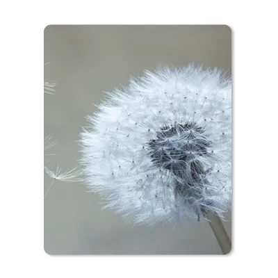 Produktbild von MuchoWow® Mauspad Mousepad Löwenzahn - Blume - Pflanze 19x23 cm - Mousepads - Maus Mat - Pad - Mausunterlage - Mauspads - Spielen