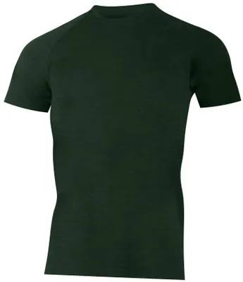 Obrázek produktu pro Lasting pánské merino triko CARLOS zelené