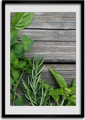 Produktbild von Bild - Bilderrahmen - Foto - 70 cm x 100 cm - MDF - Rahmen - Wandkunst - Kräuter auf Holz