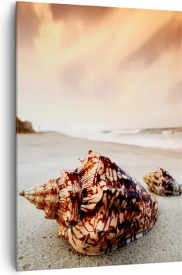 Produktbild von Bild auf Leinwand - Leinwandbild - Einteilig - Strand schön karibisch bunt - 70x100cm - Wand Bild - Wanddeko - Wandbilder - Leinwanddruck - Wanddekoration - Leinwand bilder - Wandbild - PA70x100-2123