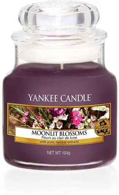 Produktbild von Yankee Candle Duftkerze Moonlight Blossoms Classic Small Jar 104g