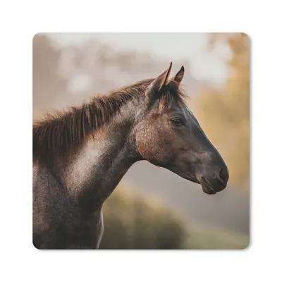 Produktbild von MuchoWow® Mauspad Mousepad Pferd - Wald - Porträt 20x20 cm - Mousepads - Maus Mat - Pad - Mausunterlage - Desk Mat - Bureauartikeln