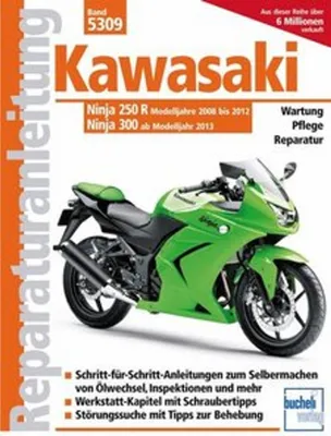 Produktbild von Kawasaki Ninja 250 R (2008-2012) 300 (ab 2013)