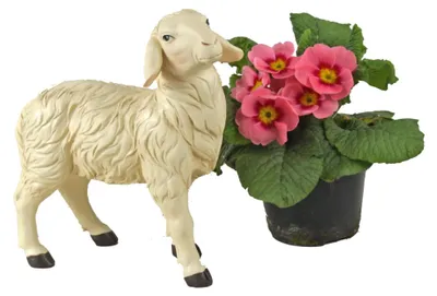 Productafbeelding van Schaffigur – Charmante natuurdecoratie voor uw huis