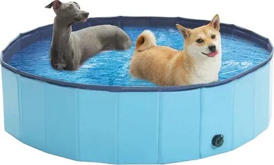 Immagine prodotto di Piscina pieghevole in PVC per cani XL blu 160x30 cm
