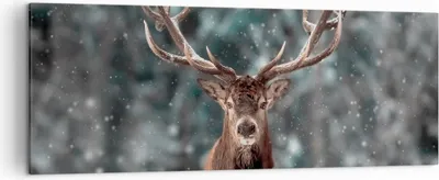 Produktbild von Bild auf Leinwand - Leinwandbild - Einteilig - Hirsch Hirsch Winter - 140x50cm - Wand Bild - Wanddeko - Wandbilder - Leinwanddruck - Bilder - Wanddekoration - Leinwand bilder - AB140x50-4998