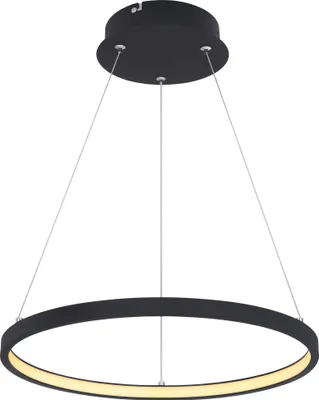A black ring-shaped pendant light with a white LED light strip on the inside of the ring, suspended by thin wires from a black circular ceiling mount.