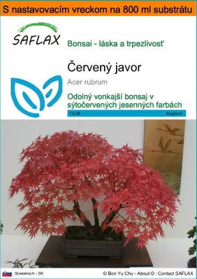 Obrázok produktu pre SAFLAX Garden in the bag - červený javor - Acer rubrum - 20 Semená - S pestovateľským substrátom v praktickom samostaviteľnom vrecku