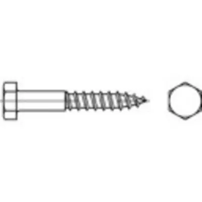 Zdjęcie produktu dla TOOLCRAFT 109315 Śruba z łbem sześciokątnym 10 mm 60 mm gniazdo sześciokątne DIN 571 stal ocynkowana 100 szt.