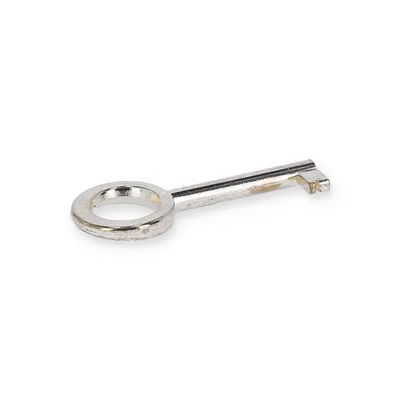 Produktbild von Hettich Buntbart-Schlüssel vermessingt 65 x 4 mm Stahl, 1 Stück