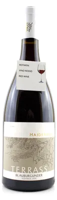 Produktbild von Blauburgunder Terrass - 2023 - 14,5% vol. - Weingut Haidenhof