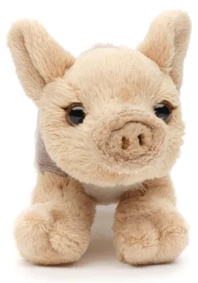 Obrázok produktu pre Plyšové prasiatko 13cm