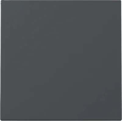 Immagine prodotto di Gira interruttore a bilanciere, sistema 55, antracite, 1 pz.