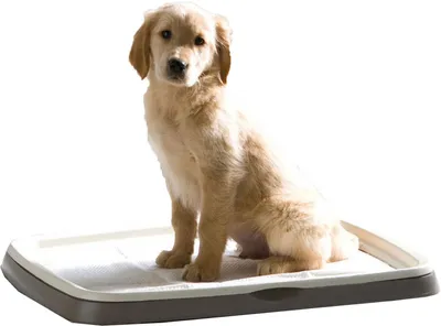 Immagine prodotto di Toilette + assorbenti Puppy Trainer L 1 pz