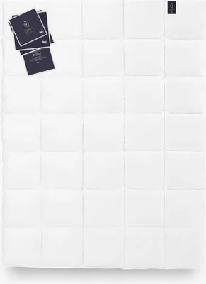Produktbild von Bettdecke Gänsedaunen 100% 135x200 QUEEN 680g Exklusiv Warm