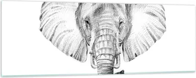 Produktbild von Bilder auf glas - Elefant Afrika Illustration Kinder - 90x30cm - Glasbilder - Wandbilder - Kunstdruck - zum Aufhängen bereit - Wanddekoration aus Glas - Glas Bilder - Wandbild auf Glas - GAB90x30-3213