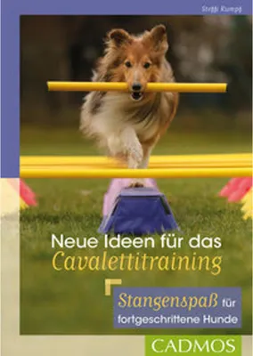 Image de Neue Ideen für das Cavalettitraining