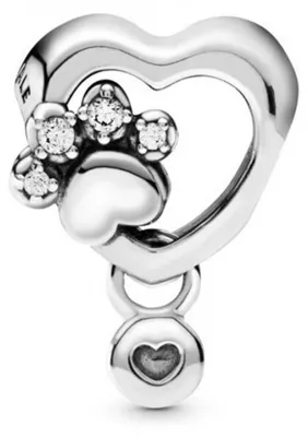 Produktbild von Pandora Damen Charm Modell 798873C01 aus 925er Silber