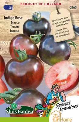 Immagine prodotto di Semi di pomodoro Indigo Rose – Coltivate pomodori viola intenso e ricchi di sostanze nutritive per l'orto e la serra – alta qualità e utilizzo versatile