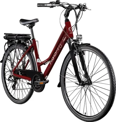 Immagine prodotto di Agon Avesa E Bike bici da trekking donna uomo da 155 cm con motore a mozzo Pedelec bici da trekking con 21 marce e luci StVZO bici a passo basso