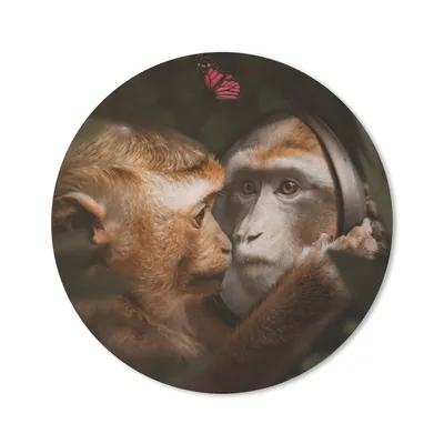 Produktbild von MuchoWow® Mauspad Mousepad Tiere - Affen - Natur 20x20 cm - Mousepads - Maus Mat - Pad - Mausunterlage - Schreibtischmatte