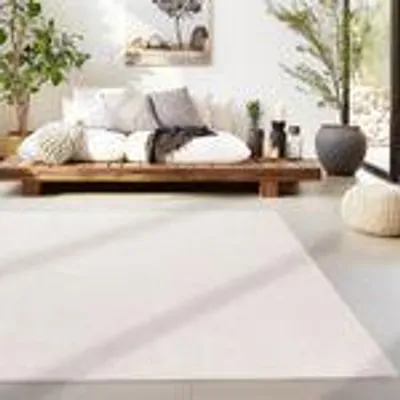 A living room scene with a low wooden platform bed or sofa, adorned with pillows and a throw blanket. A large, light-colored rug covers the floor in the foreground. Plants and decorative items are visible in the background.