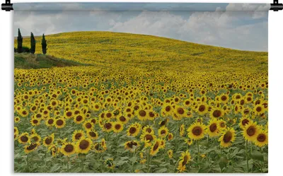 Produktbild von MuchoWow® Wandteppich Wandbehang Sonnenblumen in der Toskana 60x40 cm Tapisserie Dekoration Wandtuch - Wanddekorationen