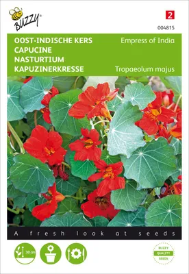 Produktbild von Kapuzinerkresse Empress of India | Kapuzinerkressesamen von Buzzy Seeds