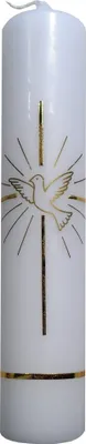 Produktbild von Wiedemann 167058.026 Taufkerze Taube Gold