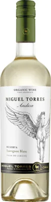 Produktbild von Andica Sauvignon Blanc Torres 2023 Valle Central | Chile | 13,5% vol | 0,75 l