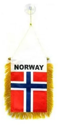 Norwegen Mini-Wimpel 15x10 cm, Polyester 100D, Saugnapf