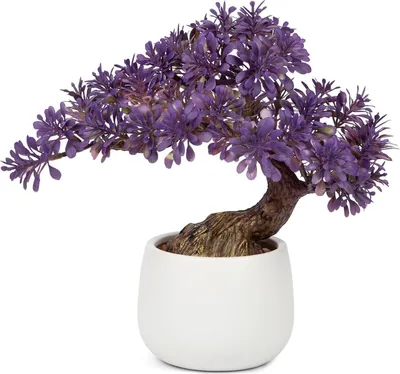 Produktbild von Künstlicher Bonsai Baum 25 cm im Keramiktopf Dekoration für Wohnzimmer Schlafzimmer - Kunstpflanze Podocarpus & Kiefer Bonsai