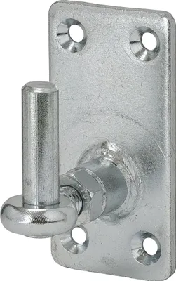Immagine prodotto di Pinza Vormann 13 mm altezza 100 mm larghezza 50 mm