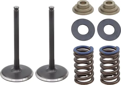 Immagine prodotto di Valvole Di Aspirazione Psichiche (Set Con Molle E Rondelle) Per Kawasaki Kxf 450 (Kx 450F) '17-18 In Acciaio (12004-0745)