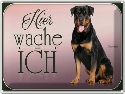 Produktbild von vianmo Blechschild 30x40 cm Hund Rottweiler hier wache ich