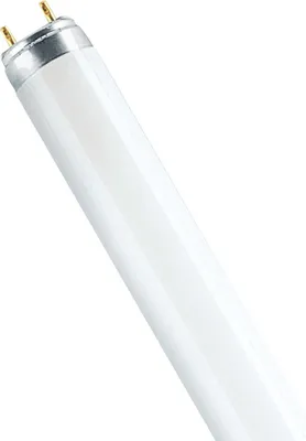 A close-up, studio shot of a fluorescent light bulb against a white background.