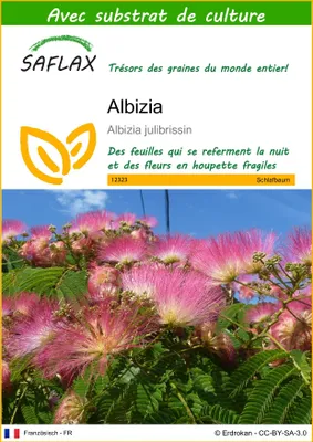 Image de SAFLAX  - Albizia - 50 graines - Avec substrat - Albizia