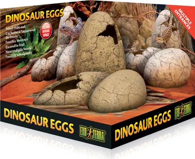 Immagine prodotto di Hagen EX Uova di dinosauro ornamentali; PT2841