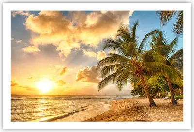 Produktbild von Poster - Poster ohne Rahmen - Strand Meer Palme - 91,5x61 cm - Wand Bild - Wanddeko - Wandbilder - Kunstposter - Wandposter - Bilder - Kunstdruck - Wanddekoration - Wandbild - P2XAA91x61-3606