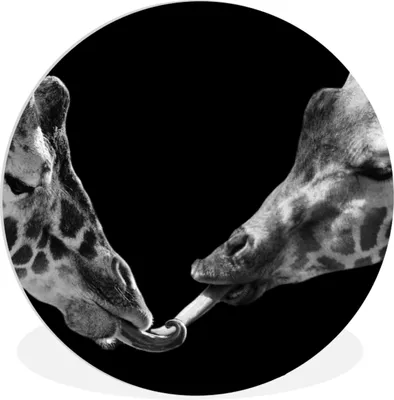 Produktbild von MuchoWow® Rundes Wandbild - Runde Bilder Tiere - Schwarz - Giraffe - Weiß - Porträt Ø 90 cm Kreis Wanddekoration Kunststoff - Wandkreis - Wandschmuck - Wand-Kreis - Wohnzimmer - Bild - Runde - Wanddeko - Dibond - Kunstdrucke