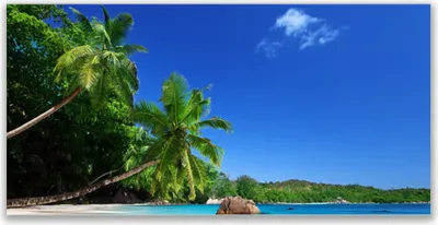Produktbild von Tulup Leinwand-Bilder 140x70 Wandbild Canvas Kunstdruck Palmen Landschaft