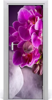 Produktbild von Tulup Türaufkleber 75x205 cm Dekorative Aufkleber Selbstklebend Wasserdichte Tapete Abnehmbar Schlafzimmer Wohnzimmer Wohnkultur - rosa Orchideen