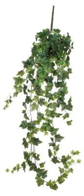 Produktbild von Kunstpflanze Hedera hängend Mica Decorations 24 x 15 x 130 cm grün
