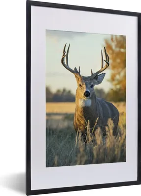 Produktbild von MuchoWow® Gerahmtes Poster Hirsche - Gras - Herbst - Geweih - Natur - Tiere 40x60 cm - Poster mit Schwarzem Bilderrahmen Wandposter Rahmen Foto Bilder - Poster in Rahmen