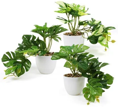 Zdjęcie produktu dla Sztuczne rośliny 20 cm, zestaw 3 sztuk – mini rośliny do wnętrz i na zewnątrz