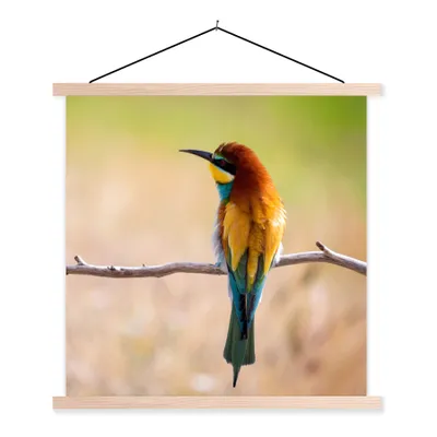 Produktbild von MuchoWow® Textilposter Vögel - Bienenfresser - Tiere 60x60 cm mit holzfarbenen Rahmen - Wanddekoration
