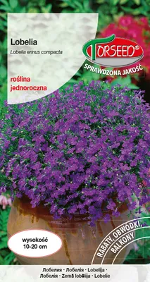 Produktbild von Samen von Lobelia (Starling) modophiolet 0.2g - Torseed