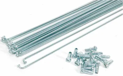 Produktbild von Bonin Speichen 144 Einheiten Silber 295 mm Silber 295 mm