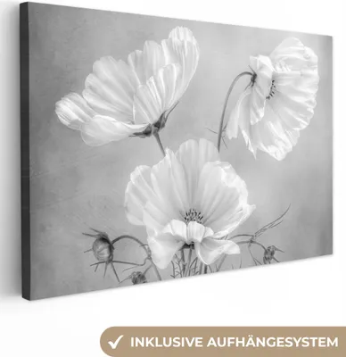 Obrázek produktu pro OneMillionCanvasses® - Plátna - Zátiší - Květiny - Černobílý - Mák - Botanické, Nástěnné umění, Nástěnné dekorace Obrazy Obývací pokoj, 120x80cm